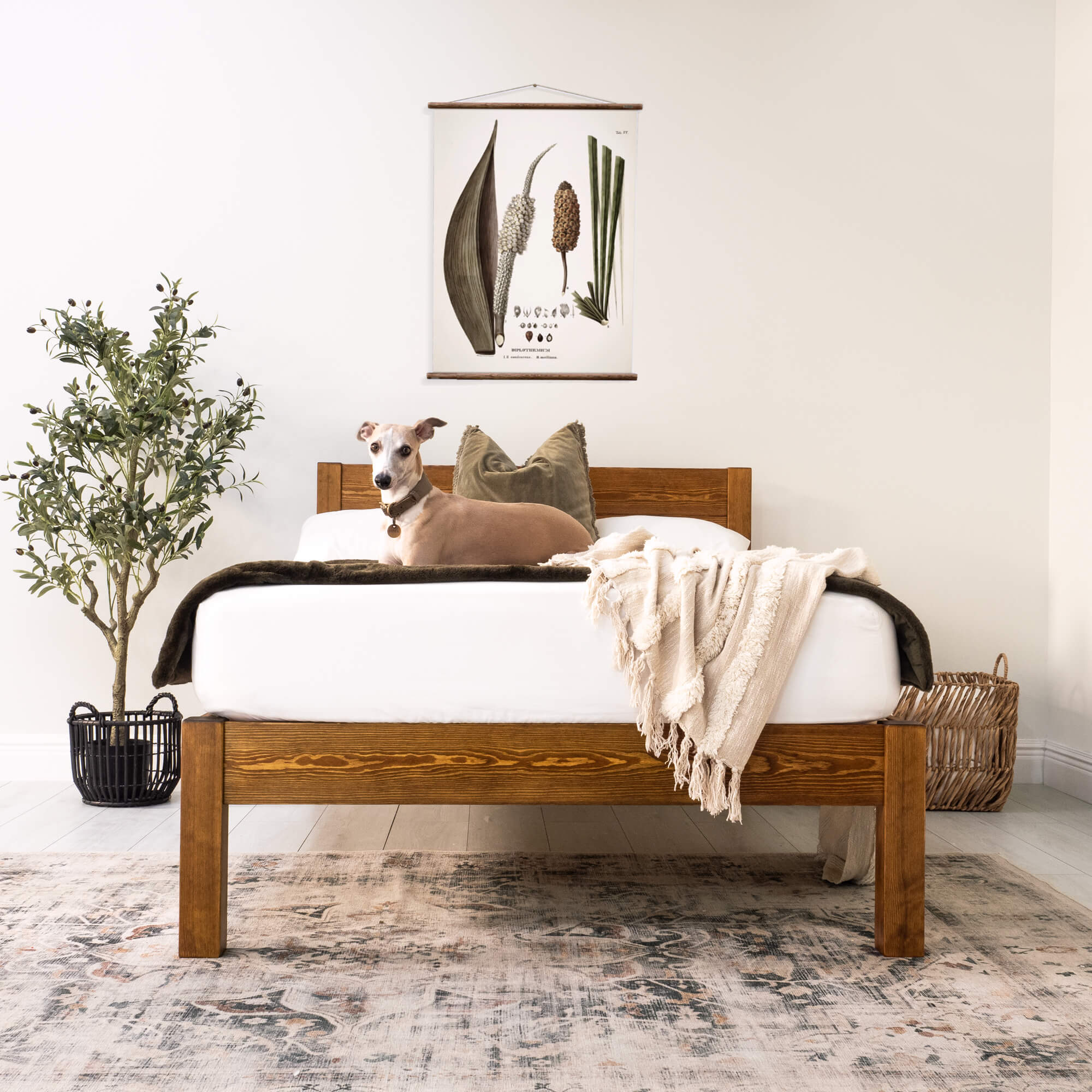 Mortlake wooden bed in solid pine, walnut finish, view 2
